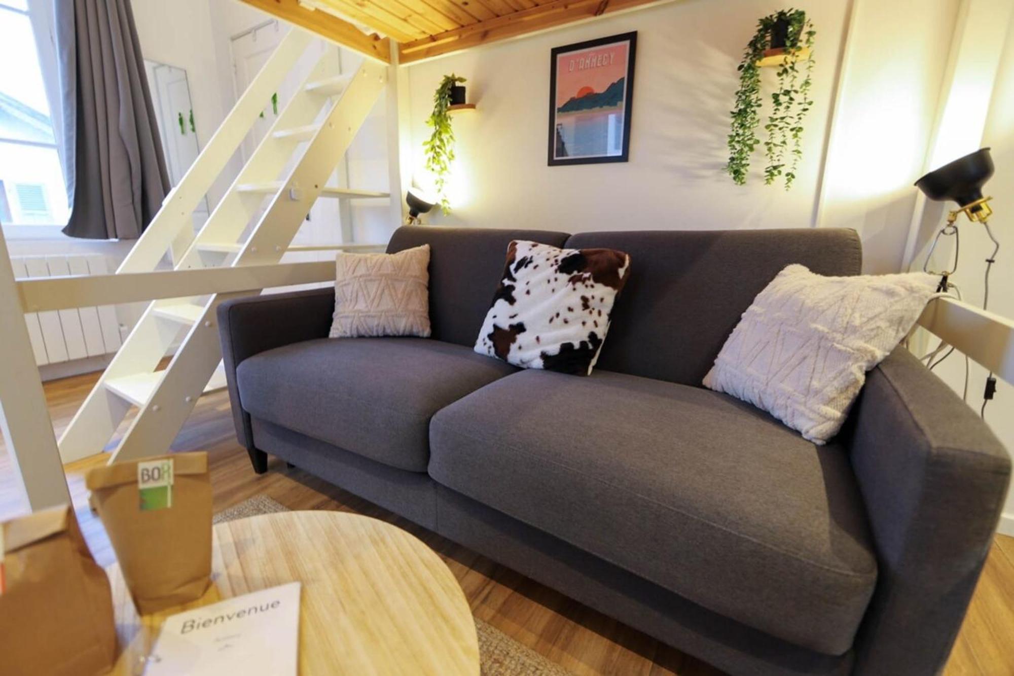 Le Petit Plus - Studio Confortable Avec Parking Daire Annecy Dış mekan fotoğraf